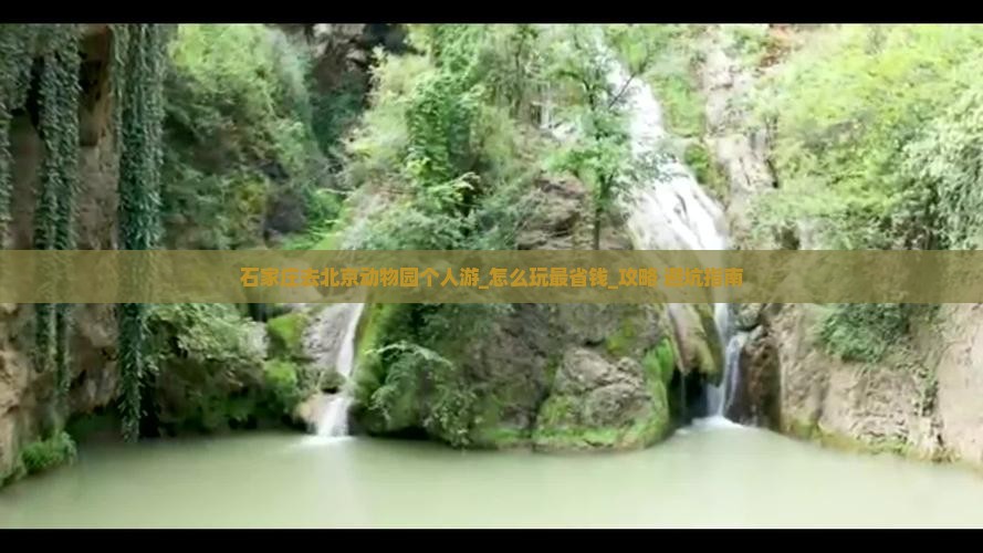 石家庄去北京动物园个人游