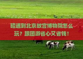 昭通到北京故宫博物院大型旅游团
