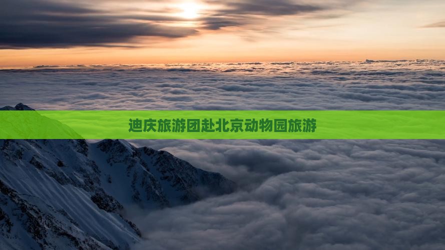 迪庆去北京动物园大型旅游团