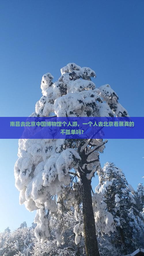 南昌去北京中国国家博物馆个人游