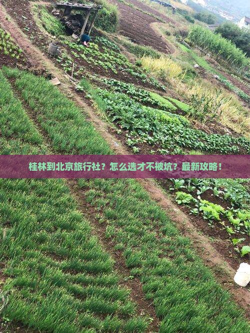 桂林到北京旅行社