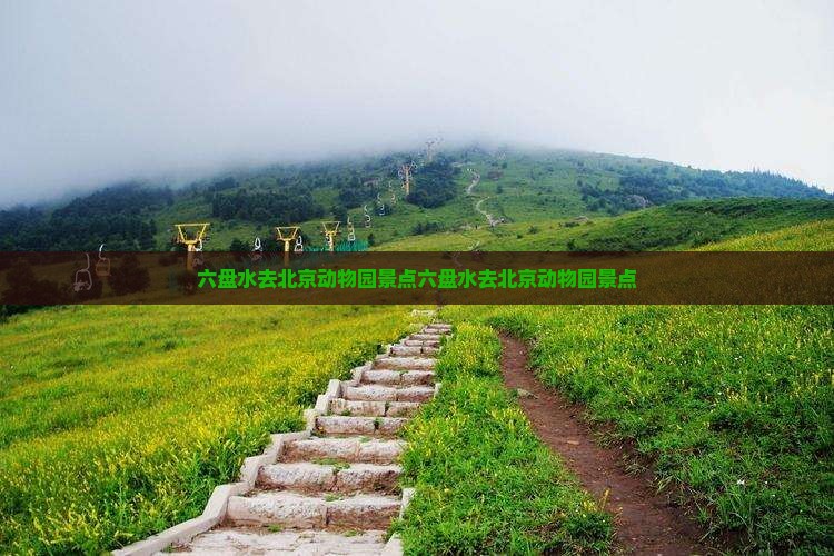 六盘水去北京动物园景点