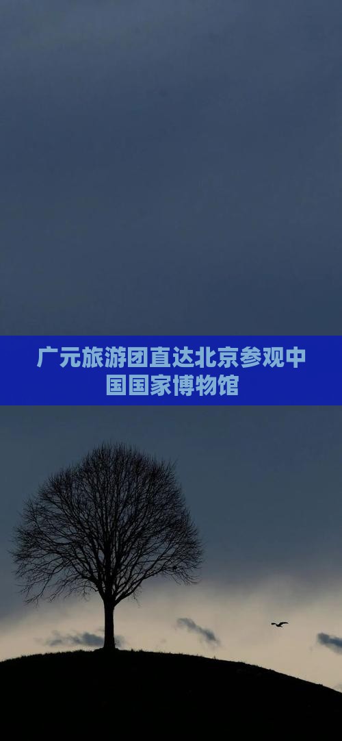 广元到北京中国国家博物馆大型旅游团