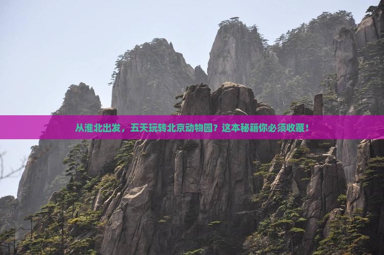淮北到北京动物园五日游