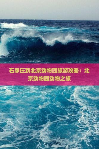 石家庄到北京动物园旅游小吃