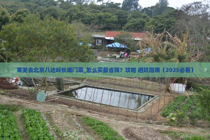 莱芜去北京八达岭长城门票