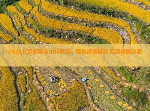 清明节到北京故宫博物院自由行