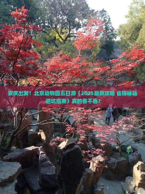 安庆去北京动物园五日游