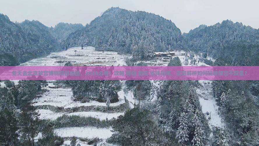 冬天去北京故宫博物院自由团