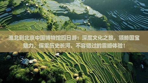 淮北到北京中国国家博物馆四日游