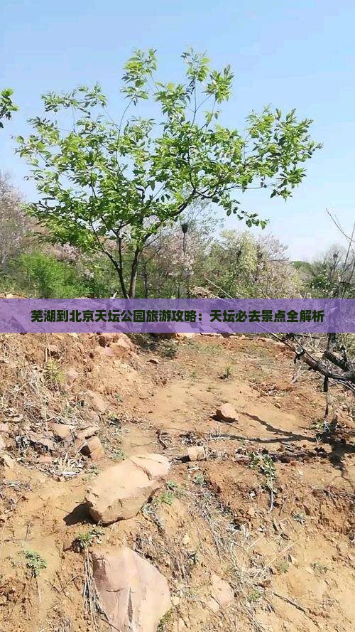 芜湖到北京天坛公园个人游