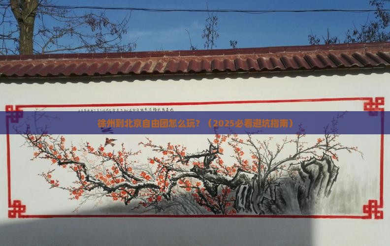 徐州到北京自由团