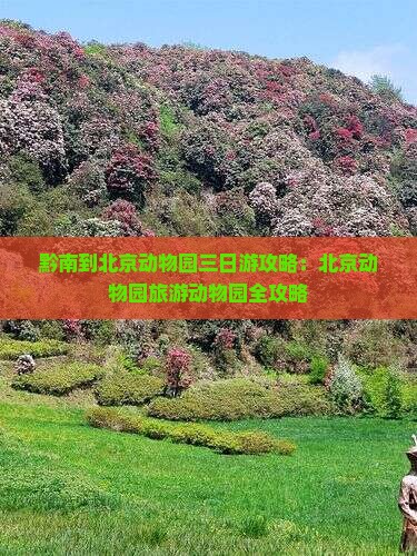 黔南到北京动物园三日游