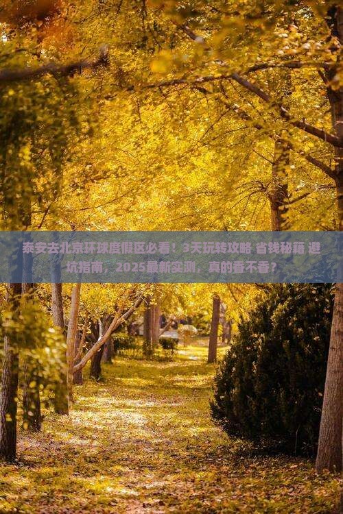 泰安去北京环球度假区哪里玩