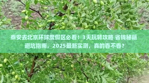 泰安去北京环球度假区哪里玩