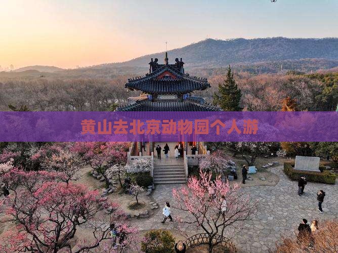 黄山去北京动物园个人游