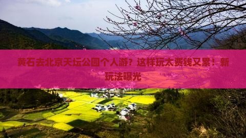 黄石去北京天坛公园个人游