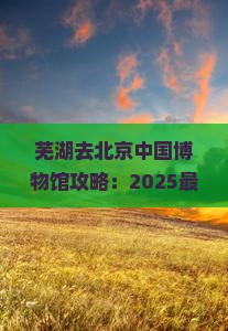 芜湖去北京中国国家博物馆攻略