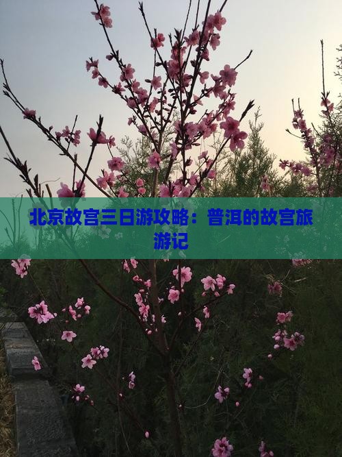 普洱去北京故宫博物院三日游