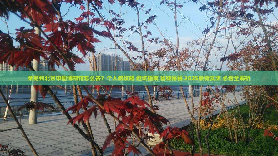 莱芜到北京中国国家博物馆个人游