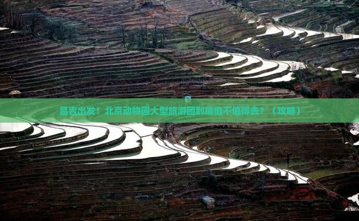 昌吉去北京动物园大型旅游团