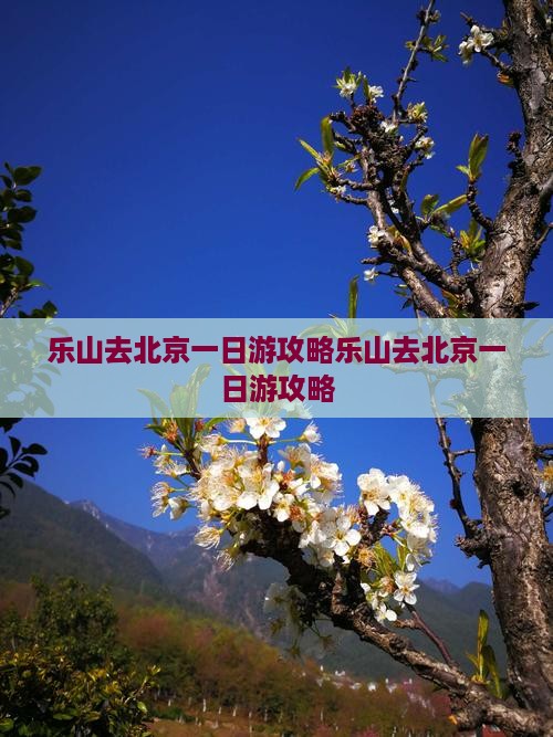 乐山去北京一日游