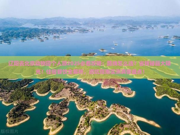 辽阳去北京动物园个人游