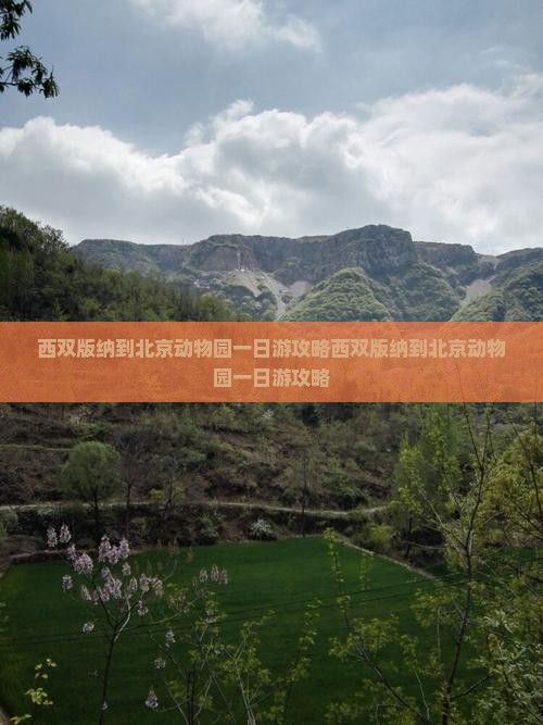 西双版纳到北京动物园一日游