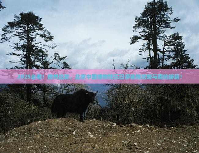 德州去北京中国国家博物馆五日游