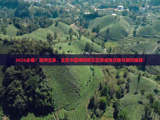 德州去北京中国国家博物馆五日游