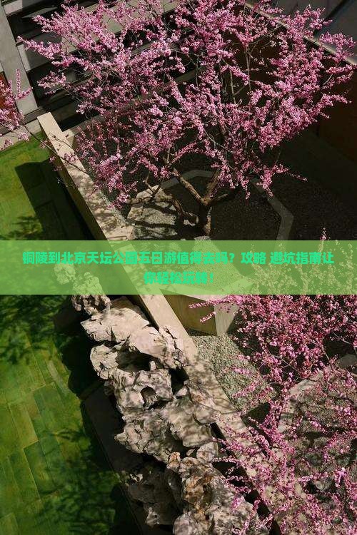 铜陵到北京天坛公园五日游