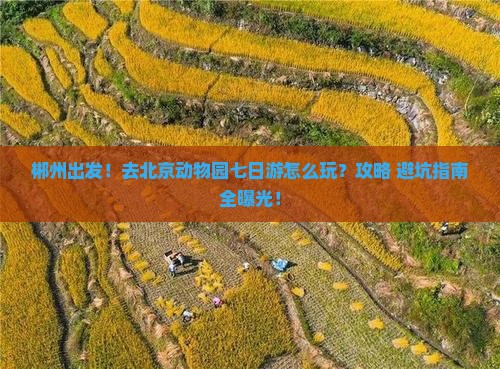 郴州去北京动物园七日游 郴州去北京动物园七日游