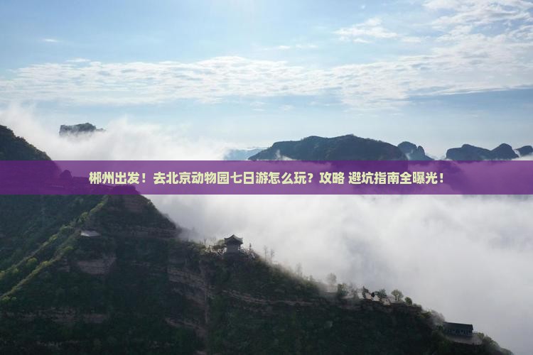 郴州去北京动物园七日游 郴州去北京动物园七日游