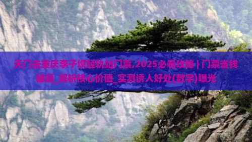 天门去重庆李子坝轻轨站门票