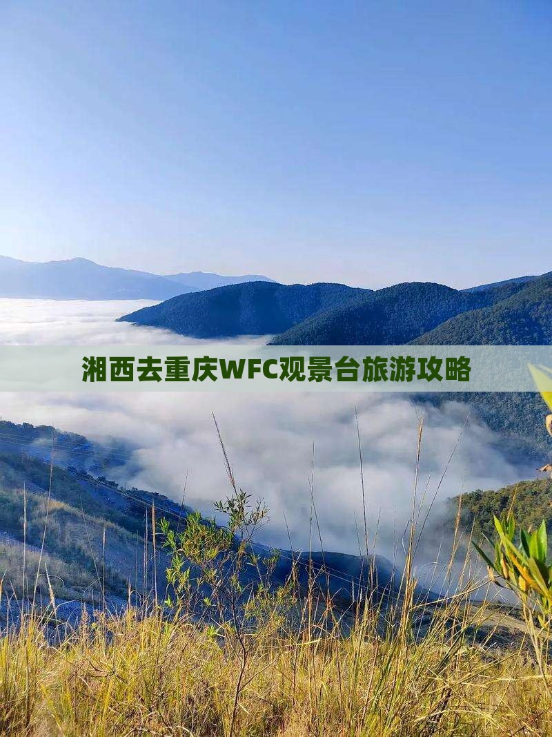 湘西去重庆wfc观景台旅行社