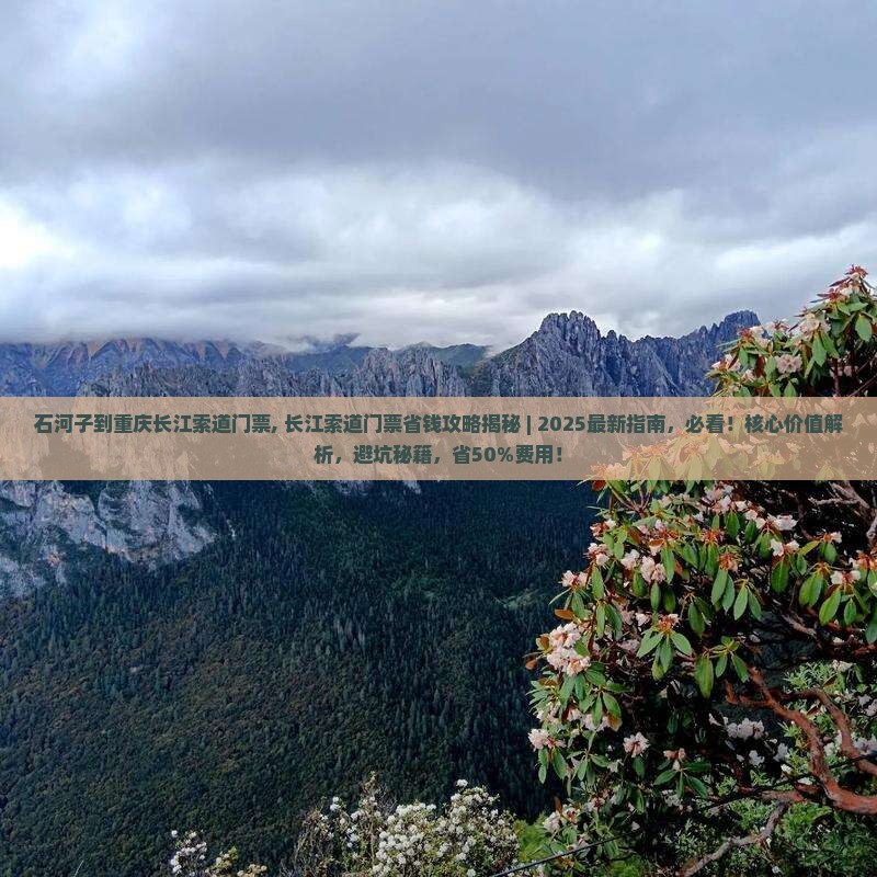 石河子到重庆长江索道门票