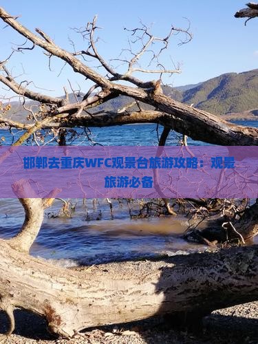 邯郸去重庆wfc观景台旅行社