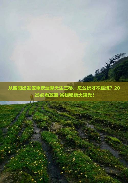 咸阳去重庆武隆天生三桥攻略
