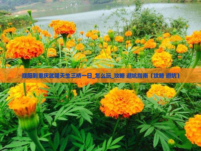 濮阳到重庆武隆天生三桥一日