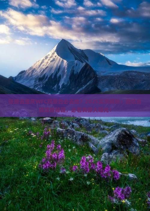 张掖去重庆wfc观景台必去地