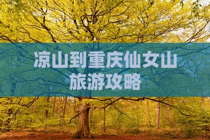 凉山到重庆仙女山自由行
