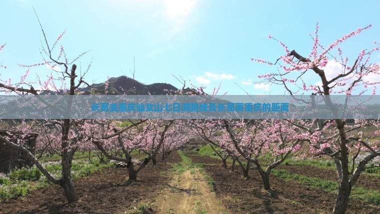 长葛去重庆仙女山七日游