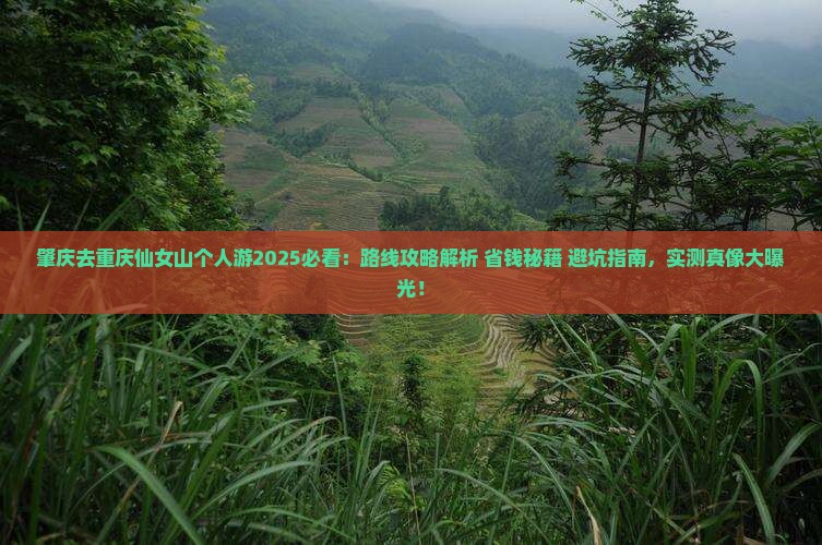 肇庆去重庆仙女山个人游