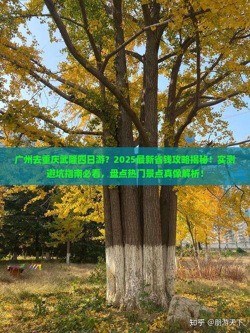 广州去重庆武隆四日游
