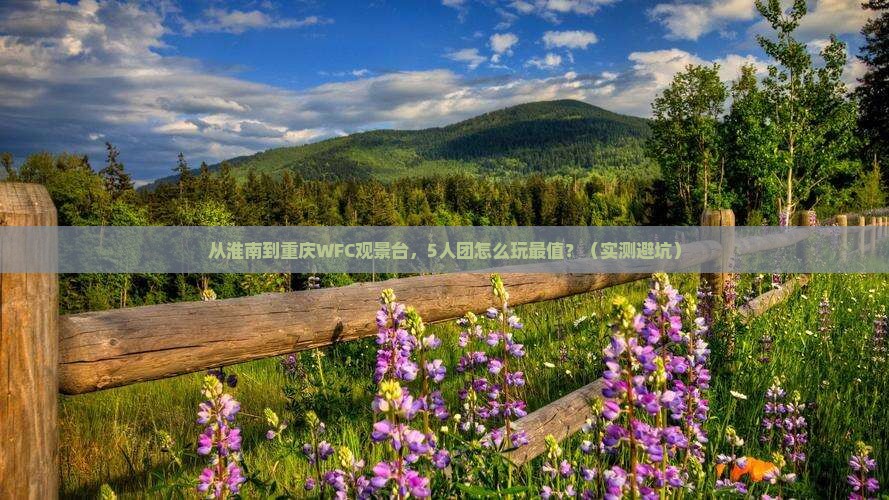 淮南去重庆wfc观景台团体旅游