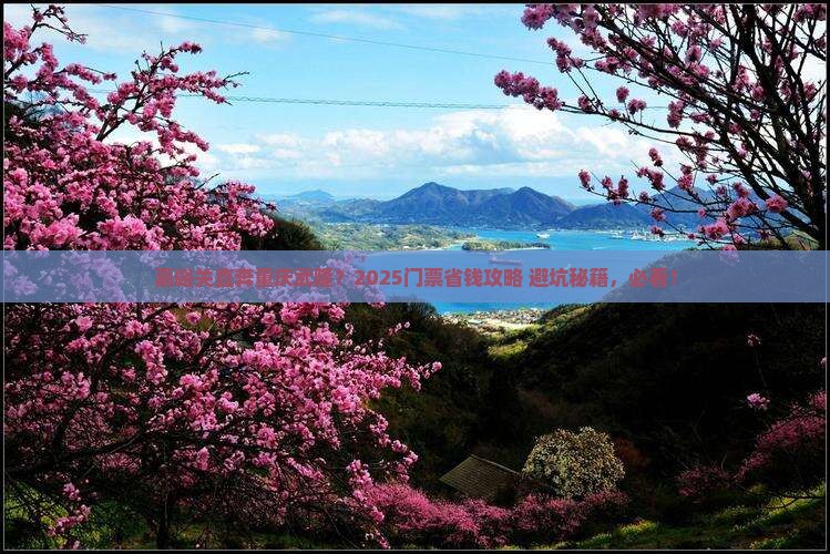 嘉峪关去重庆武隆门票
