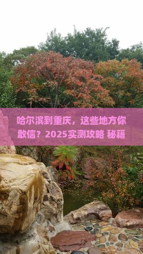 哈尔滨去重庆必去地