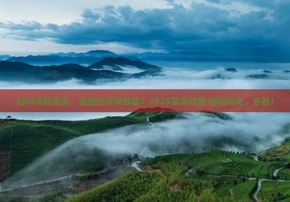 哈尔滨去重庆必去地