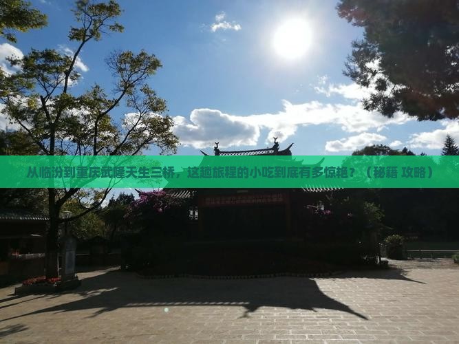 临汾去重庆武隆天生三桥旅游小吃