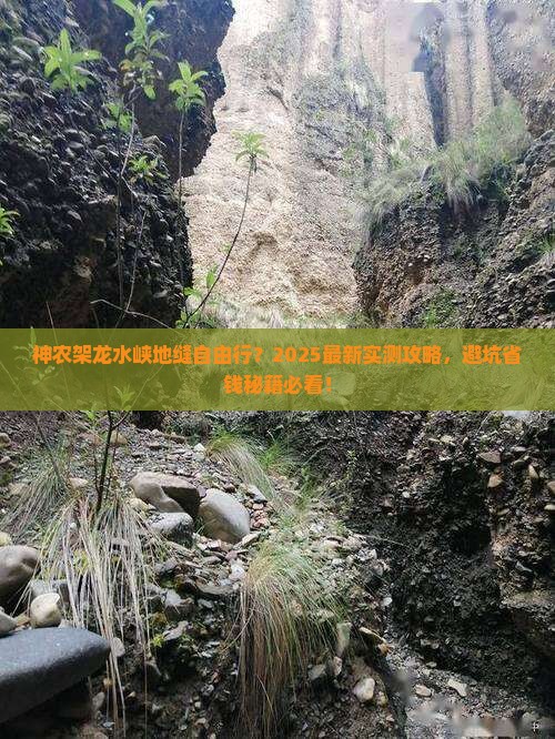 神农架到重庆龙水峡地缝自由团